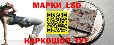 тгк Бердск