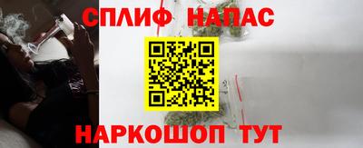 тгк Бердск
