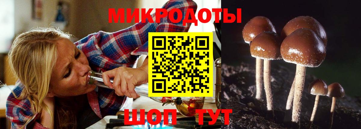Псилоцибиновые грибы мухоморы Бор