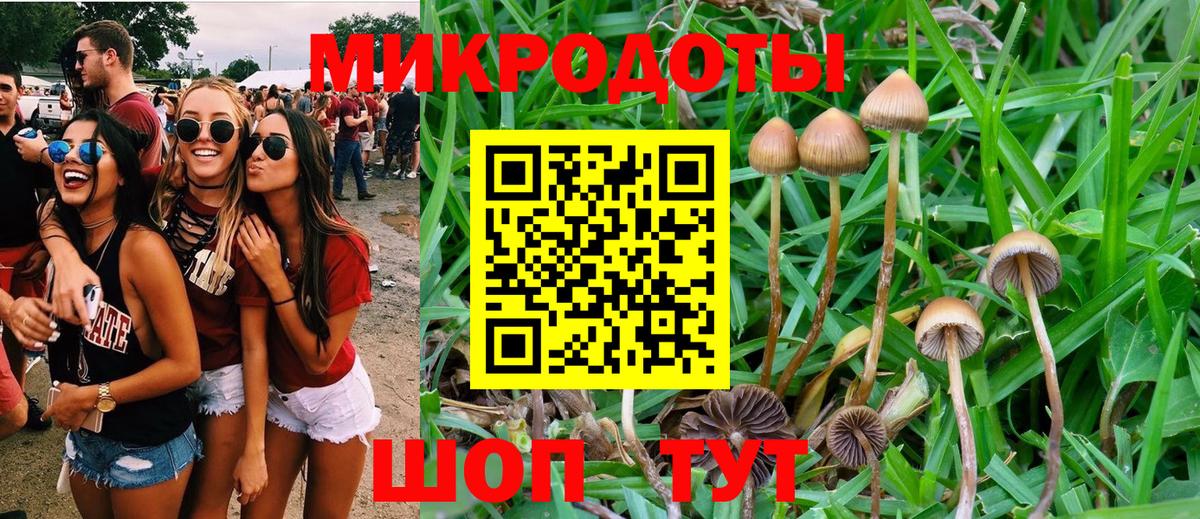 Бор  Галлюциногенные грибы Psilocybine cubensis  Вход с VPN 